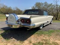 Ford Thunderbird - <small></small> 59.000 € <small>TTC</small> - #6