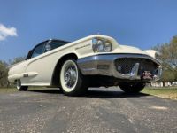 Ford Thunderbird - <small></small> 59.000 € <small>TTC</small> - #7