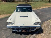 Ford Thunderbird - <small></small> 59.000 € <small>TTC</small> - #9