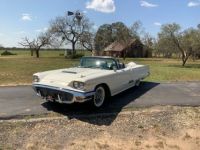 Ford Thunderbird - <small></small> 59.000 € <small>TTC</small> - #11