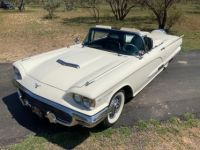 Ford Thunderbird - <small></small> 59.000 € <small>TTC</small> - #12