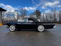 Ford Thunderbird - <small></small> 25.000 € <small>TTC</small> - #5