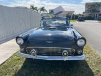 Ford Thunderbird - <small></small> 27.500 € <small>TTC</small> - #15