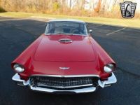 Ford Thunderbird - <small></small> 50.700 € <small>TTC</small> - #6