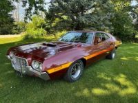 Ford Torino - <small></small> 44.000 € <small>TTC</small> - #1