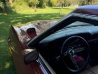 Ford Torino - <small></small> 44.000 € <small>TTC</small> - #9