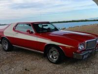 Ford Torino - <small></small> 43.000 € <small>TTC</small> - #32