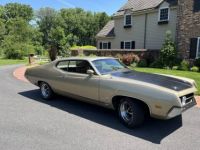 Ford Torino cobra  - <small></small> 32.000 € <small>TTC</small> - #2