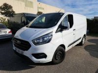 Ford Transit CUSTOM tole Business 105 L1H1 BUSINESS - <small></small> 14.880 € <small>TTC</small> - #1