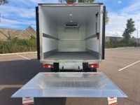 Iveco Daily 35C16 CAISSE FRIGO HAYON - <small></small> 78.000 € <small>TTC</small> - #4