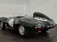 Jaguar D-Type Type D Replica - <small></small> 85.000 € <small>TTC</small> - #2