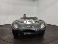 Jaguar D-Type Type D Replica - <small></small> 85.000 € <small>TTC</small> - #5