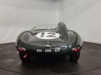 Jaguar D-Type Type D Replica - <small></small> 85.000 € <small>TTC</small> - #6