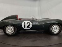 Jaguar D-Type Type D Replica - <small></small> 85.000 € <small>TTC</small> - #9