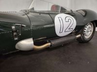 Jaguar D-Type Type D Replica - <small></small> 85.000 € <small>TTC</small> - #17