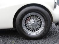 Jaguar Daimler SP 250 - <small></small> 48.900 € <small>TTC</small> - #92