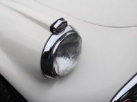 Jaguar Daimler SP 250 - <small></small> 48.900 € <small>TTC</small> - #93