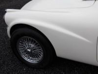 Jaguar Daimler SP 250 - <small></small> 48.900 € <small>TTC</small> - #98