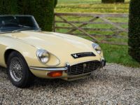 Jaguar E-Type S3 V12 Roadster Automatic - <small></small> 89.000 € <small>TTC</small> - #6