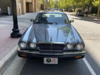 Jaguar XJ6 - <small></small> 20.000 € <small>TTC</small> - #8