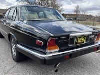 Jaguar XJ6 - <small></small> 17.000 € <small>TTC</small> - #7