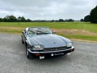 Jaguar XJS - <small></small> 26.900 € <small>TTC</small> - #3