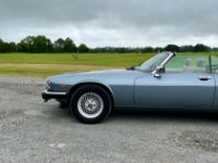 Jaguar XJS - <small></small> 26.900 € <small>TTC</small> - #33