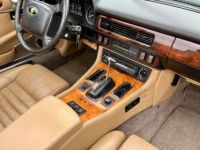 Jaguar XJS - <small></small> 26.900 € <small>TTC</small> - #63