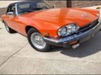 Jaguar XJS - <small></small> 17.000 € <small>TTC</small> - #2