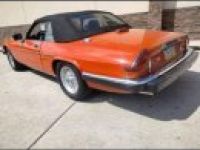 Jaguar XJS - <small></small> 17.000 € <small>TTC</small> - #3