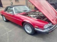 Jaguar XJS - <small></small> 17.000 € <small>TTC</small> - #8