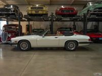 Jaguar XJS - <small></small> 27.000 € <small>TTC</small> - #6