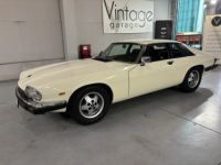 Jaguar XJS  - <small></small> 10.750 € <small>TTC</small> - #10