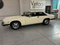 Jaguar XJS  - <small></small> 10.750 € <small>TTC</small> - #11