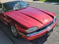 Jaguar XJS - <small></small> 17.000 € <small>TTC</small> - #1