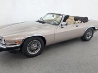 Jaguar XJS - <small></small> 33.000 € <small>TTC</small> - #3