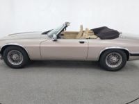 Jaguar XJS - <small></small> 33.000 € <small>TTC</small> - #4