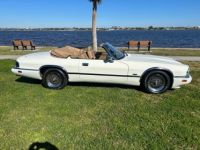 Jaguar XJS - <small></small> 24.000 € <small>TTC</small> - #6