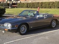 Jaguar XJS - <small></small> 26.400 € <small>TTC</small> - #5