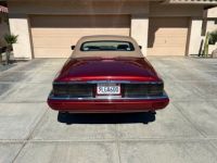 Jaguar XJS - <small></small> 25.100 € <small>TTC</small> - #6