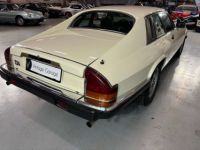 Jaguar XJS 3.6l Manueel - <small></small> 10.750 € <small>TTC</small> - #10