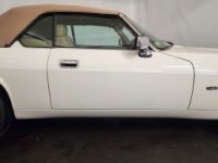 Jaguar XJS 4.0 Cabriolet - <small></small> 27.500 € <small>TTC</small> - #20