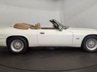 Jaguar XJS cabriolet - <small></small> 27.500 € <small>TTC</small> - #13