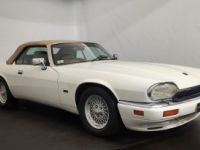 Jaguar XJS cabriolet - <small></small> 27.500 € <small>TTC</small> - #14