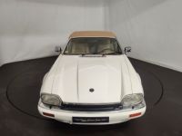 Jaguar XJS cabriolet - <small></small> 27.500 € <small>TTC</small> - #16