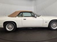 Jaguar XJS cabriolet - <small></small> 27.500 € <small>TTC</small> - #24