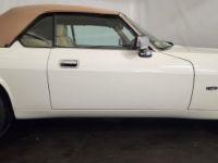 Jaguar XJS cabriolet - <small></small> 27.500 € <small>TTC</small> - #26