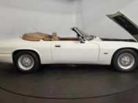 Jaguar XJS cabriolet - <small></small> 27.500 € <small>TTC</small> - #34