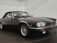 Jaguar XJS cabriolet - <small></small> 28.500 € <small>TTC</small> - #13