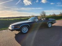 Jaguar XJS cabriolet - <small></small> 28.500 € <small>TTC</small> - #88